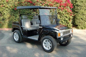 affordable golf cart rental, golf cart rent sebastian golf cart rental
